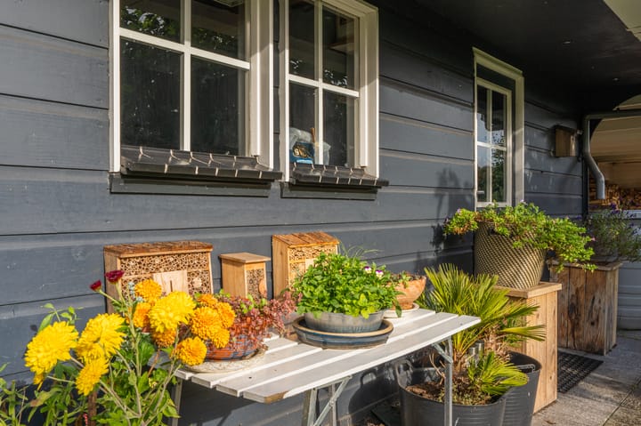 Foto 54 van Noorderstraat 10-G