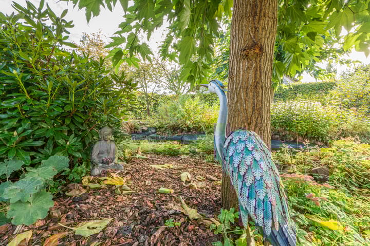 Foto 66 van Noorderstraat 10-G