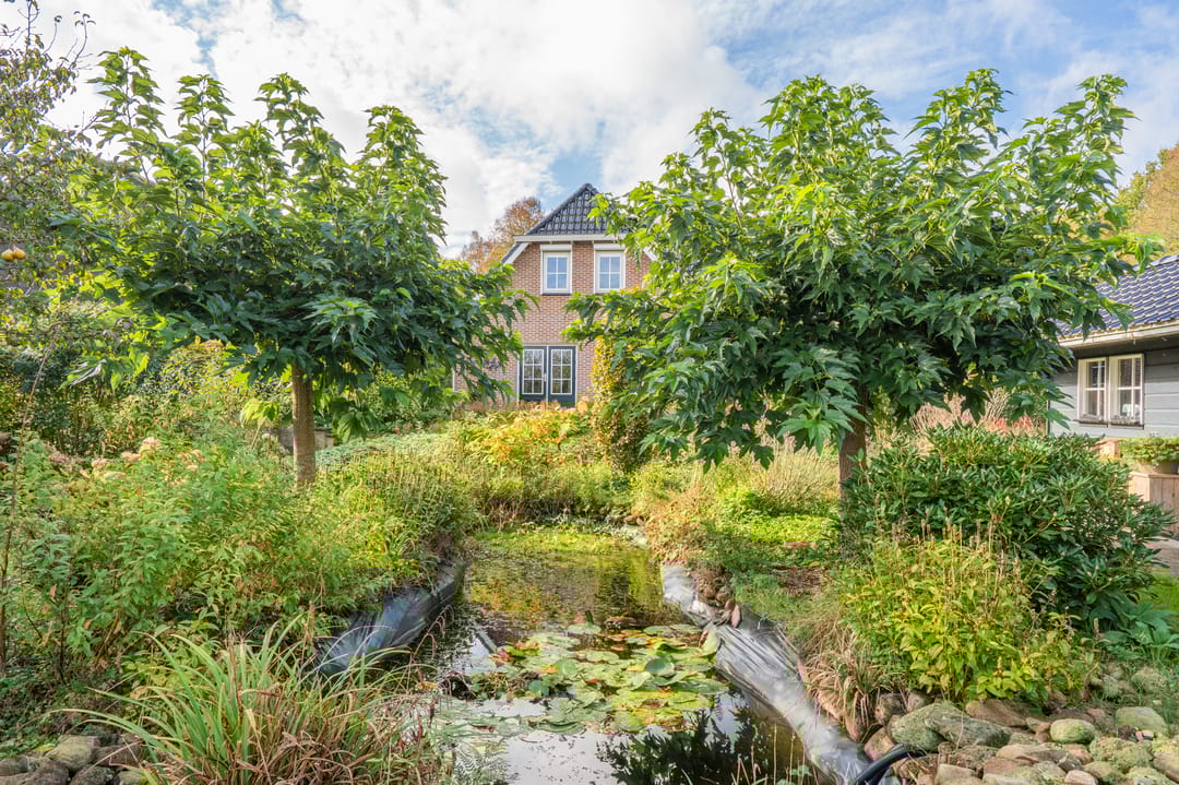 Photo 67 of Noorderstraat 10-G