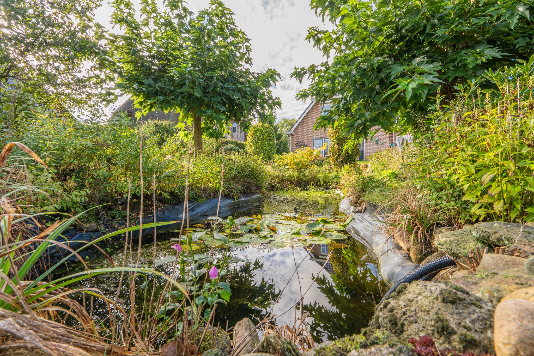 Photo 69 of Noorderstraat 10-G