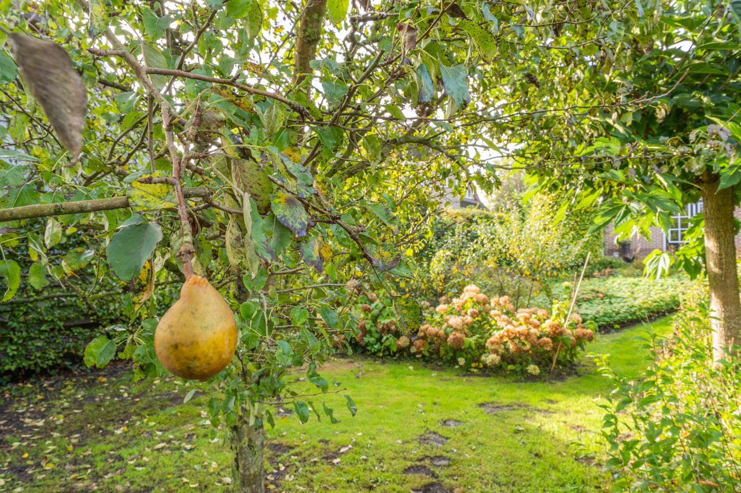 Photo 70 of Noorderstraat 10-G