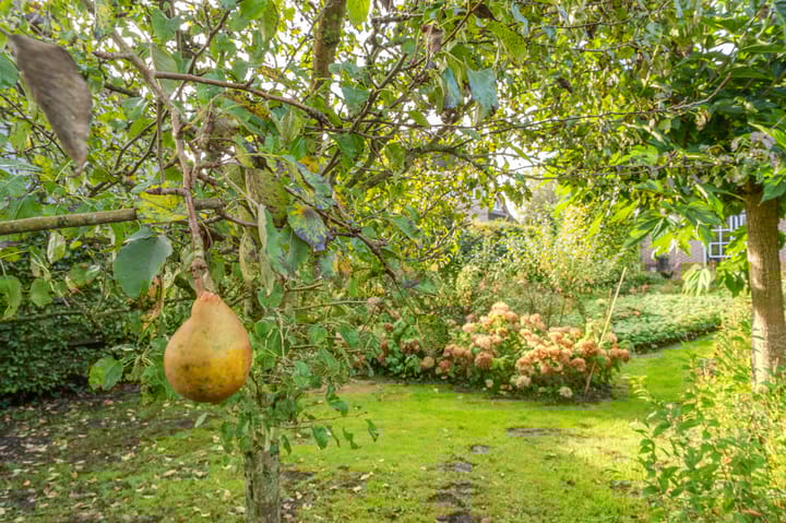 Foto 70 van Noorderstraat 10-G