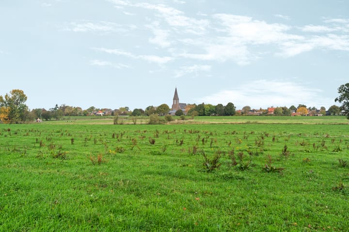 Foto 25 van Lijsterstraat 43