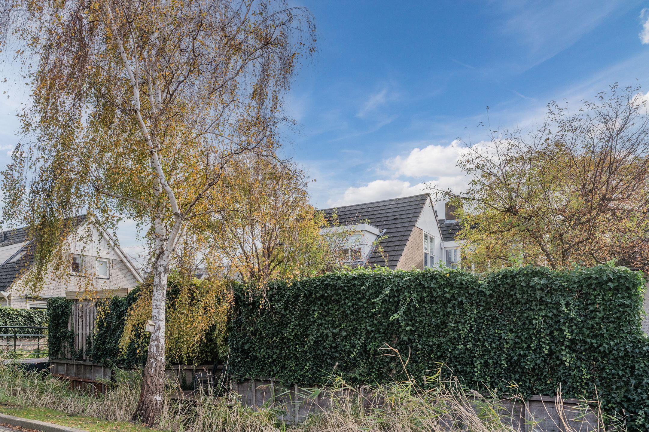 Foto 54 van Kervelhof 22