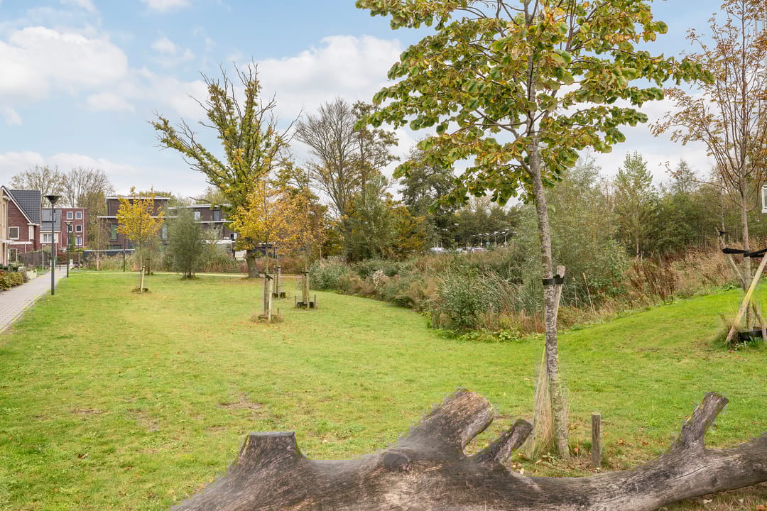 Foto 37 van Ireen Wüststraat 145