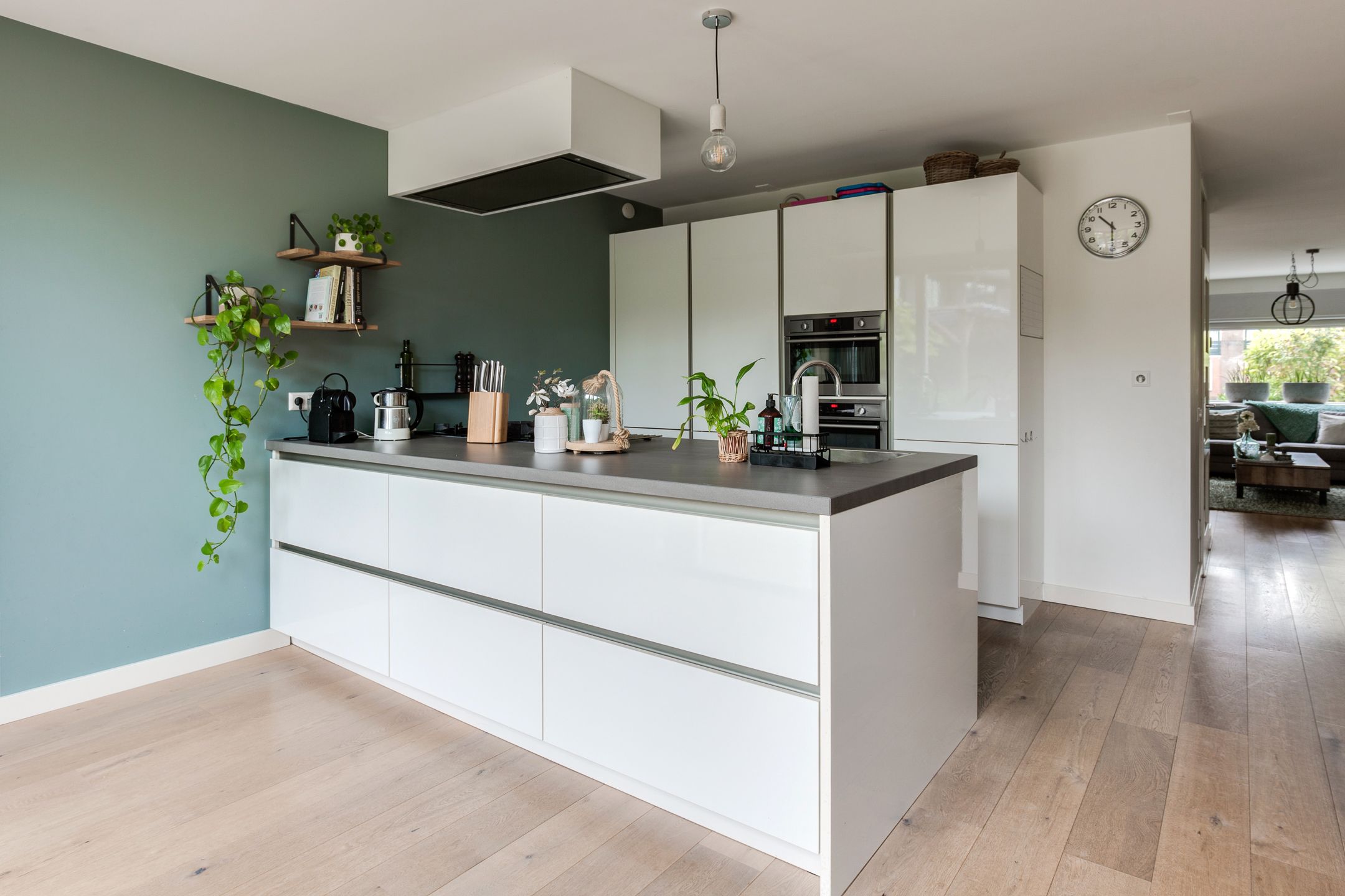 Foto 3 van Koningsvaren 54