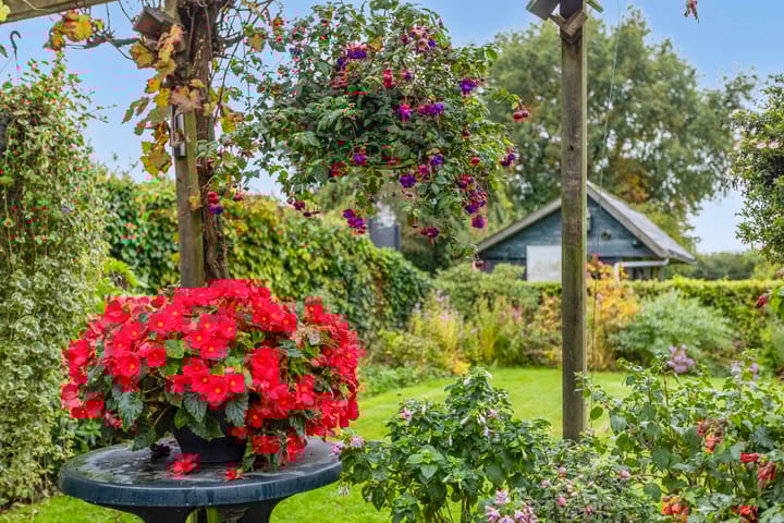 Photo 17 of Doornakkers 16