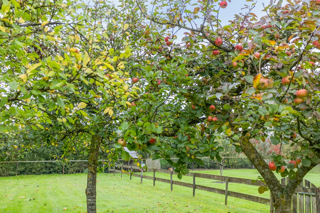 Foto 22 van Doornakkers 16