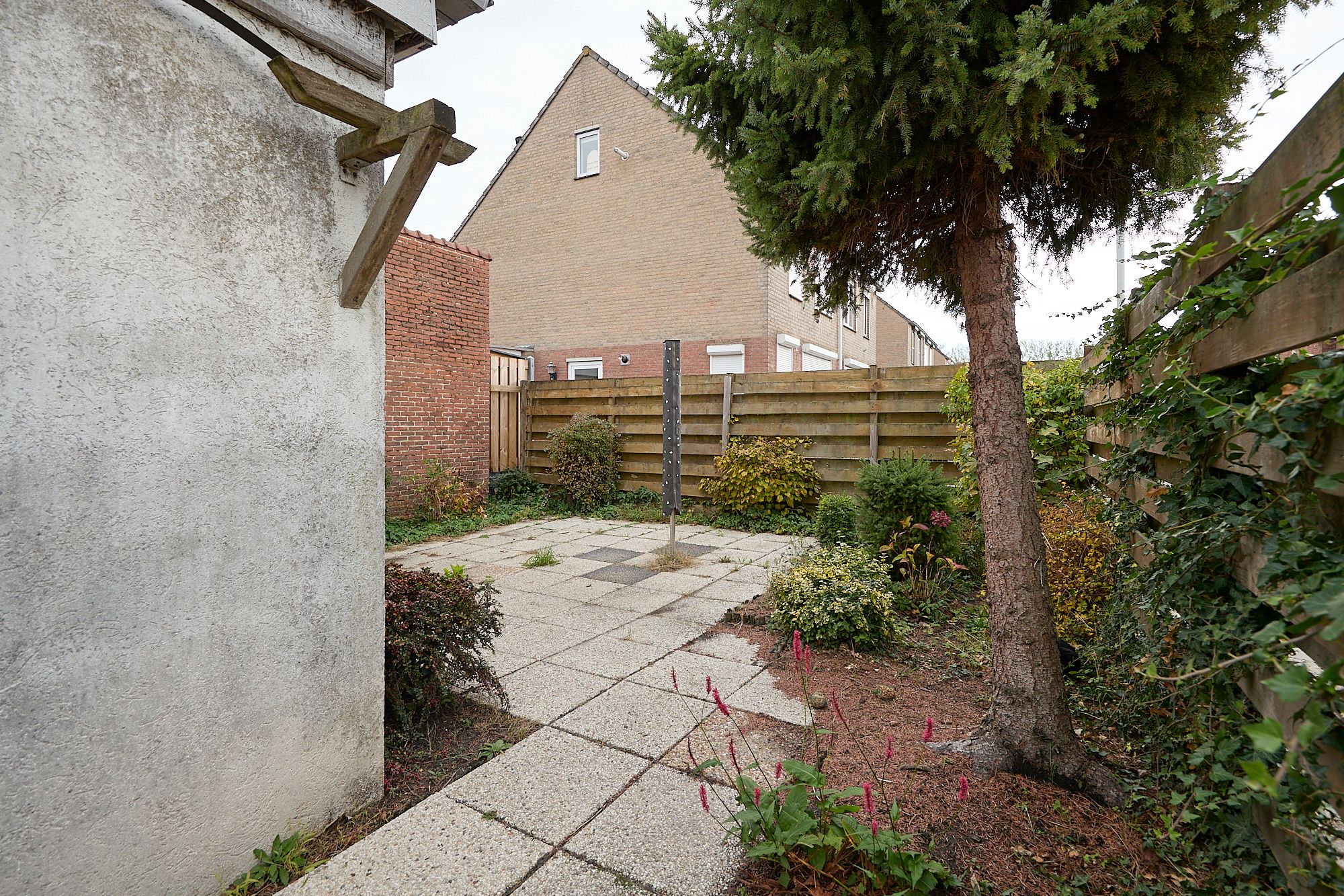 Foto 15 van Westdam 77