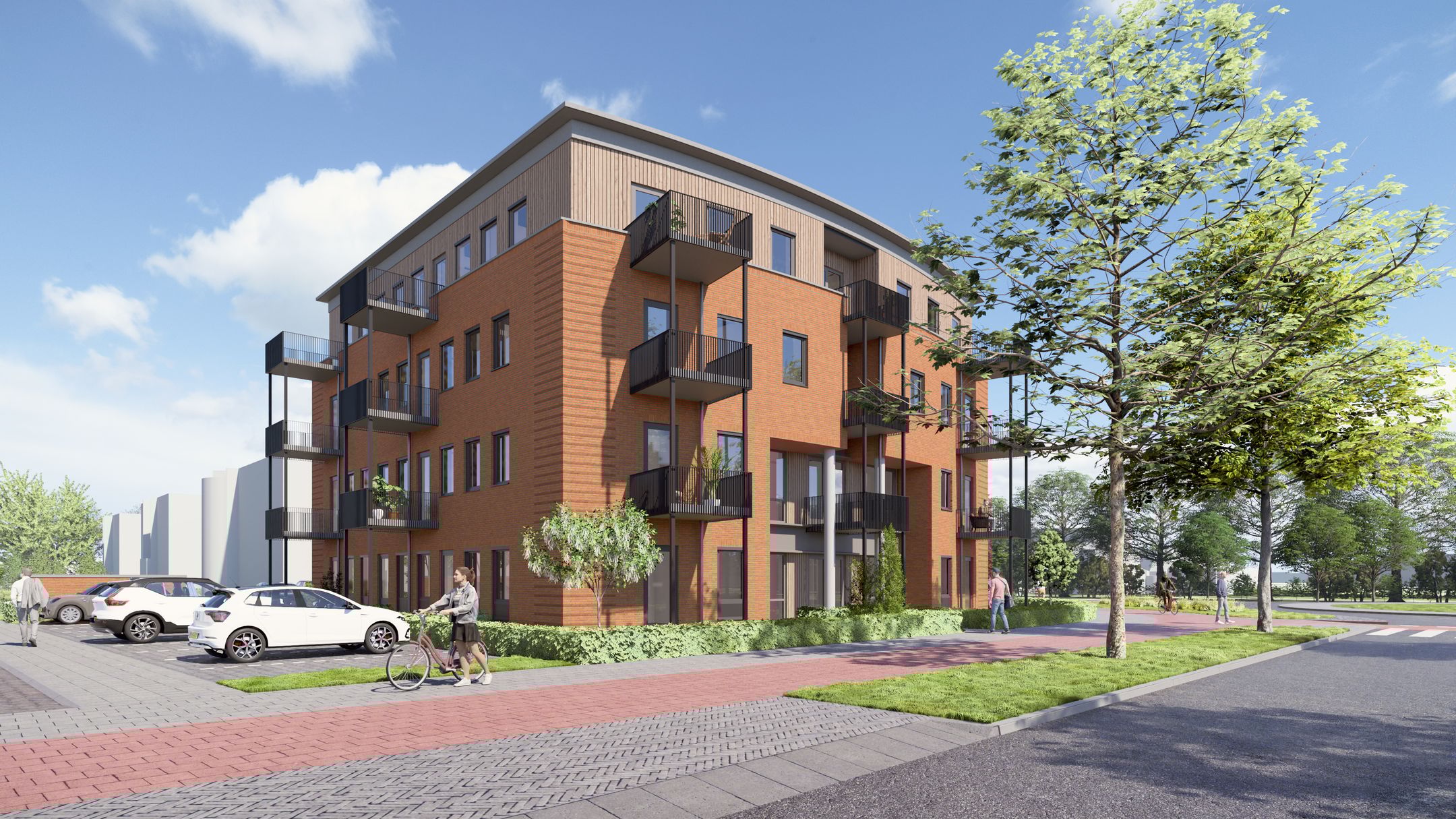 Photo 2 of Maestro II