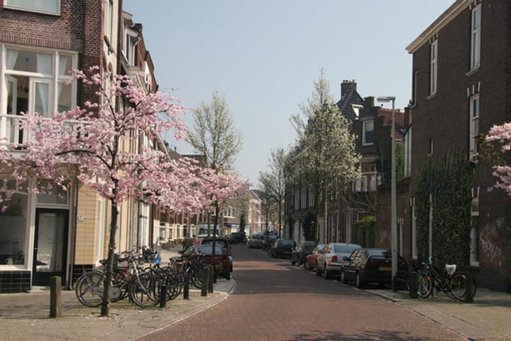 Foto 5 van Duifstraat 38