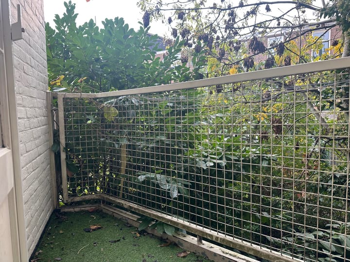 Foto 25 van Duifstraat 38