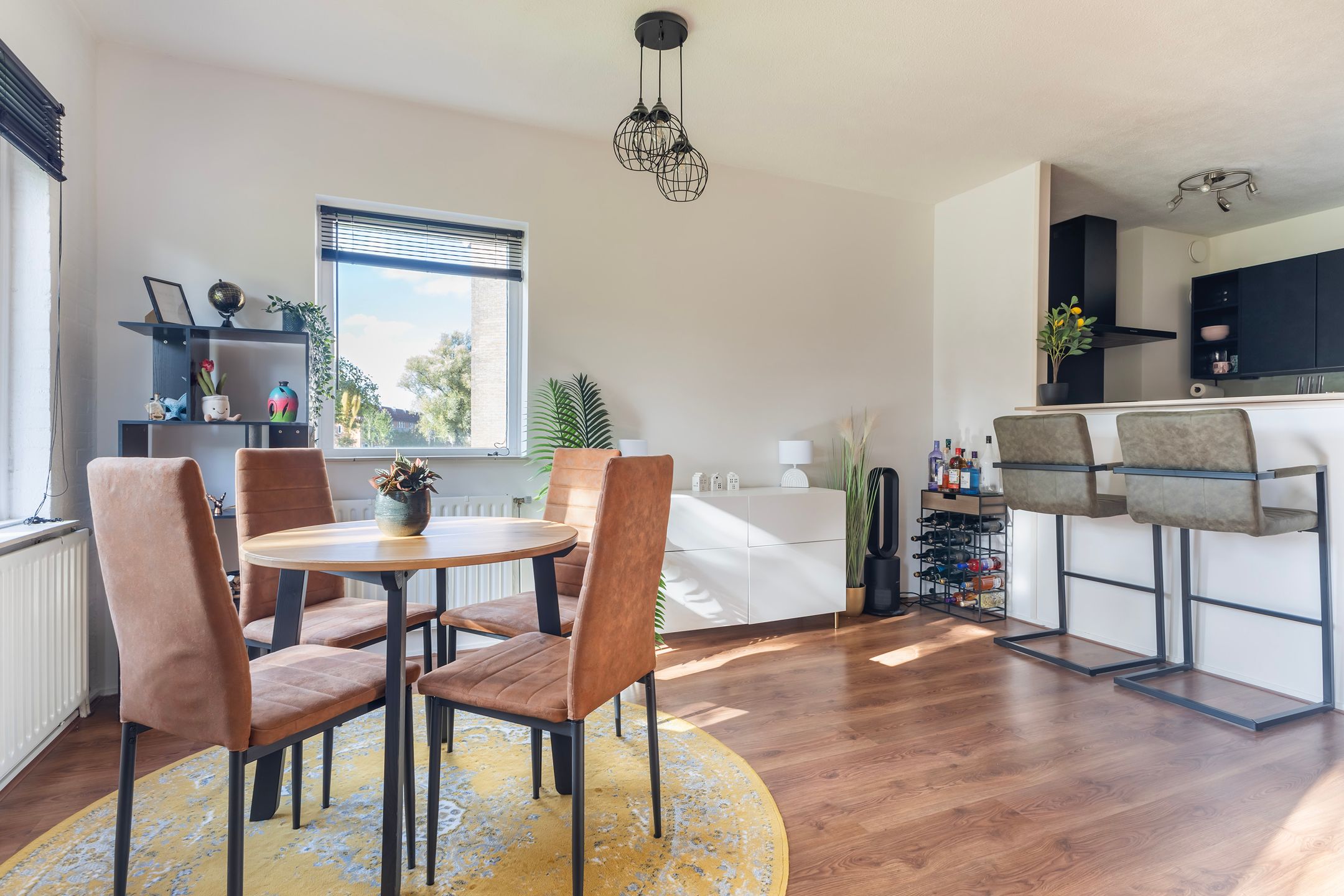 Foto 9 van Friesburg 18