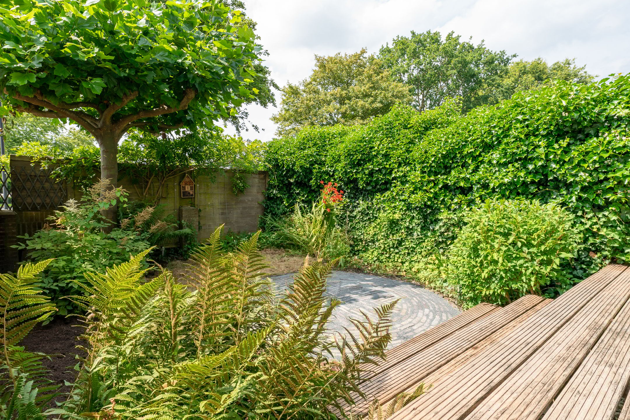 Foto 36 van Pieter Soutmanlaan 5