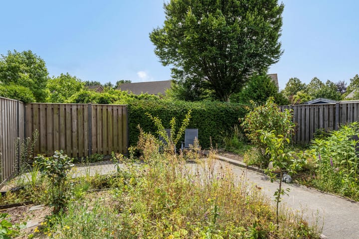 Photo 36 of Marjolein 6