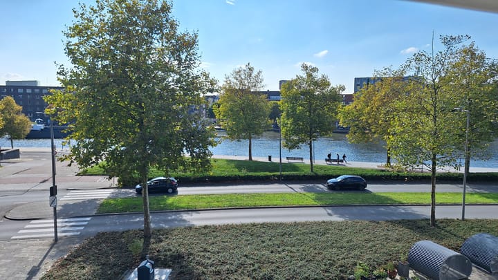 Foto 20 van Rochussenstraat 307-A02