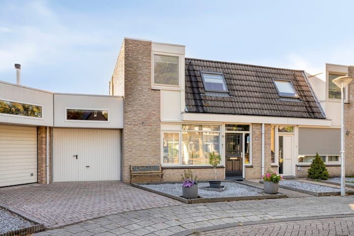 Photo 3 of Ekster 20