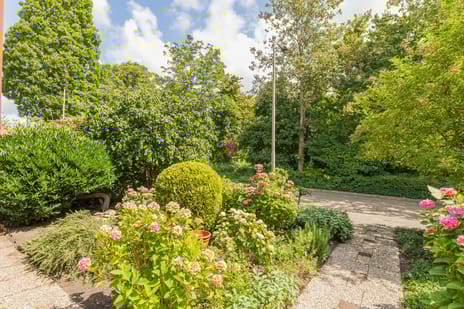 Vincent van Goghsingel 10 tertiary image