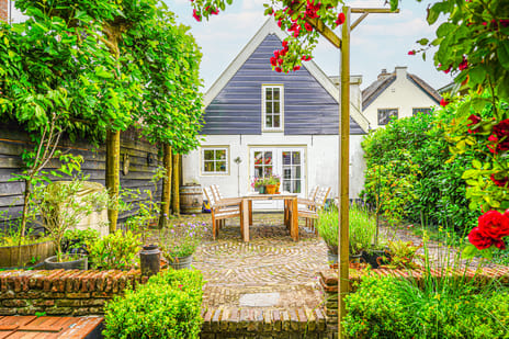 undefined main image