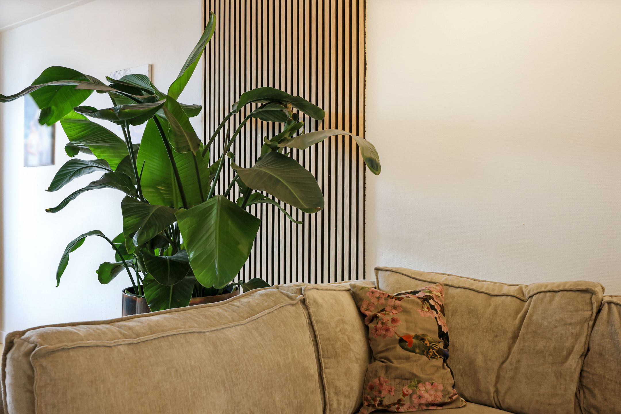 Foto 12 van Zeeweg 198