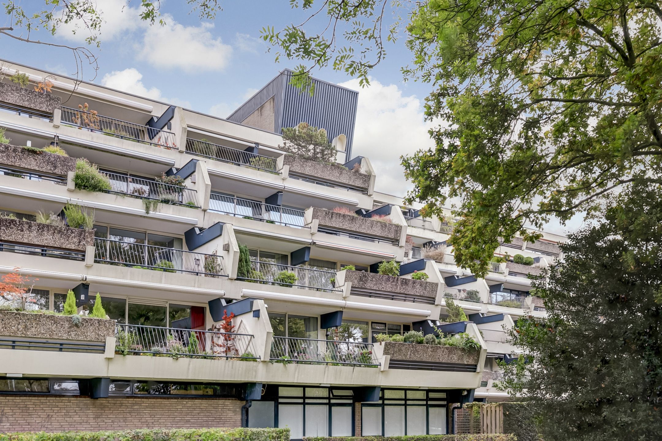 Foto 36 van Sint Hubertus 344