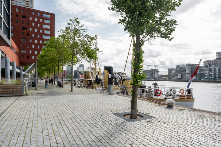 Foto 50 van Landverhuizersplein 34