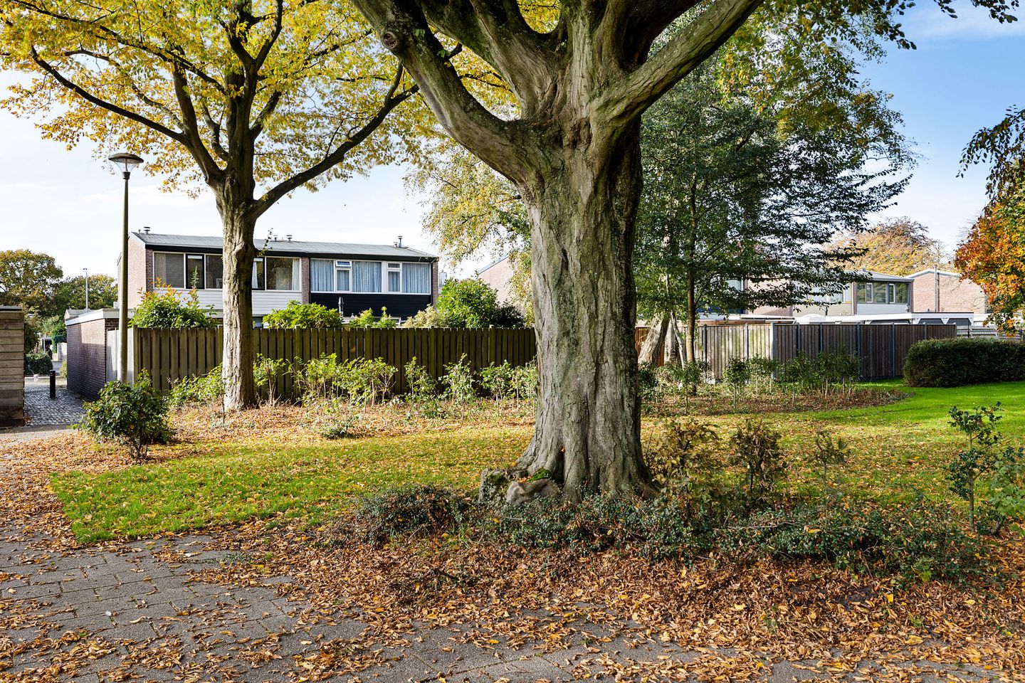 Foto 4 van Dr. Boelmans Kranenburgstraat 24