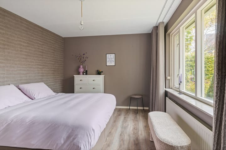 Foto 5 van Buizerd 25