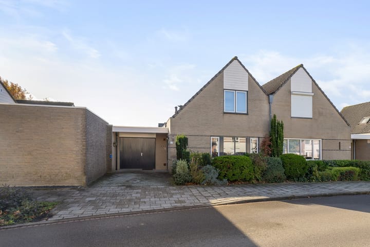 Foto 7 van Buizerd 25