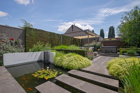 Aronskelk 67 tertiary image