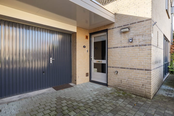 Foto 10 van Buizerd 25