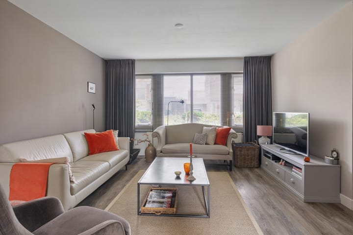 Foto 14 van Buizerd 25