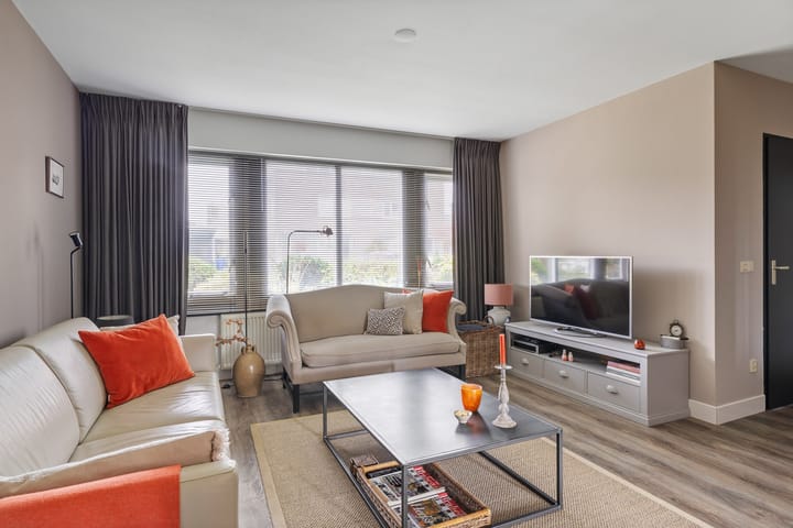 Foto 15 van Buizerd 25