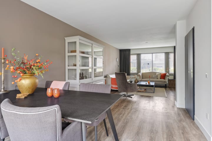 Foto 19 van Buizerd 25