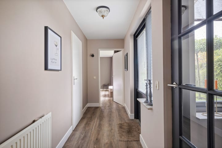 Foto 23 van Buizerd 25