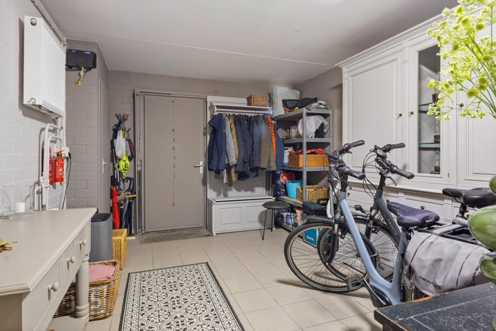 Foto 31 van Buizerd 25