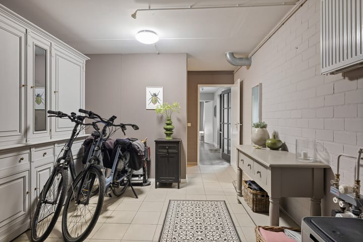 Foto 32 van Buizerd 25