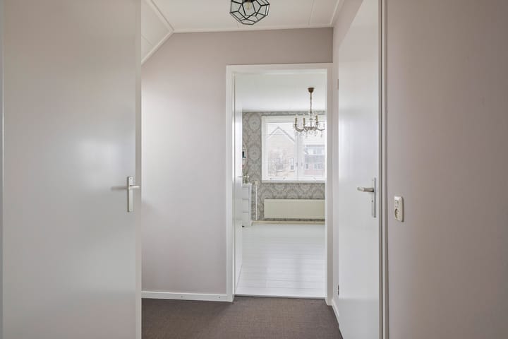 Foto 33 van Buizerd 25