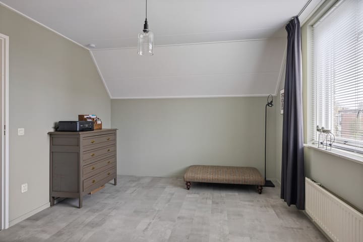 Foto 35 van Buizerd 25