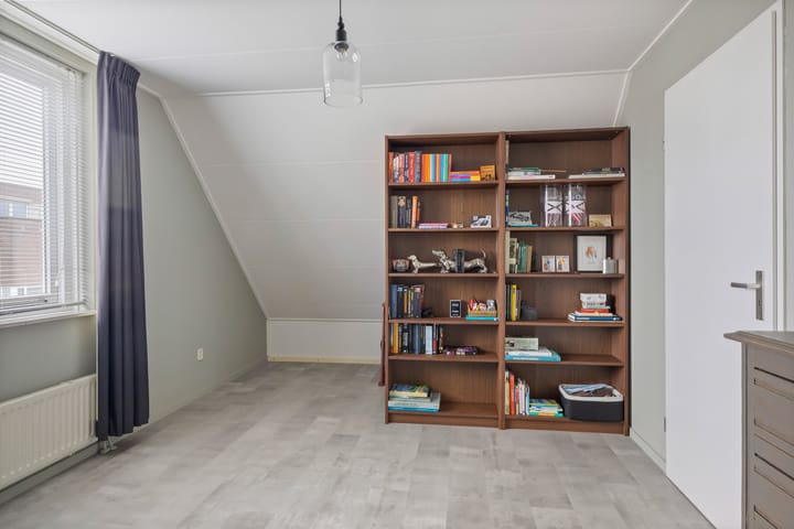 Foto 36 van Buizerd 25