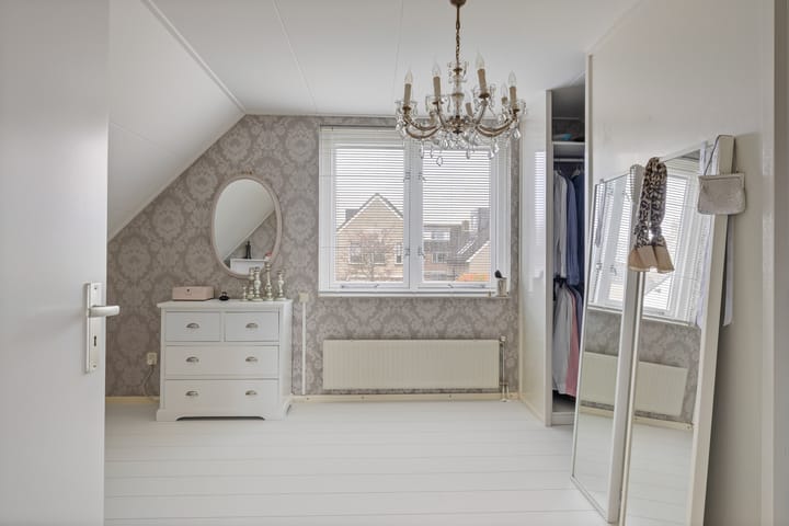 Foto 39 van Buizerd 25