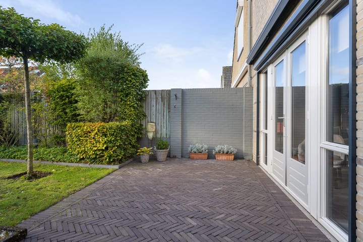 Foto 42 van Buizerd 25