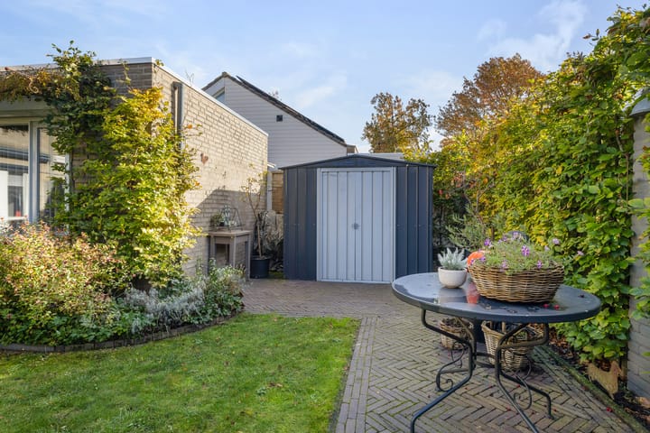 Foto 44 van Buizerd 25