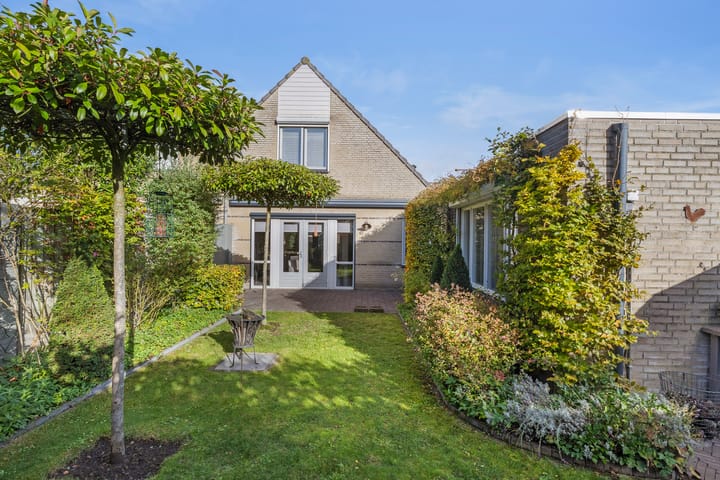 Foto 45 van Buizerd 25