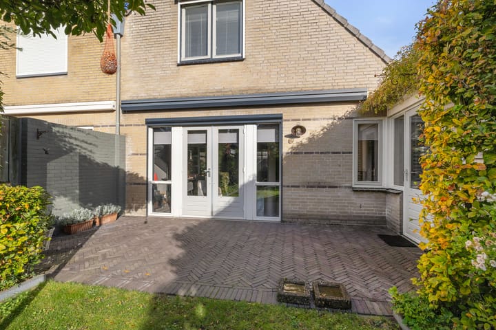 Foto 46 van Buizerd 25