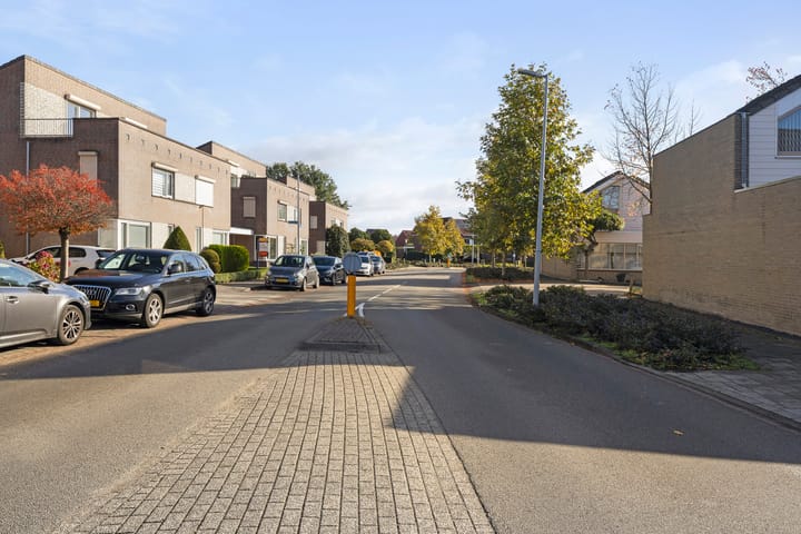 Foto 47 van Buizerd 25