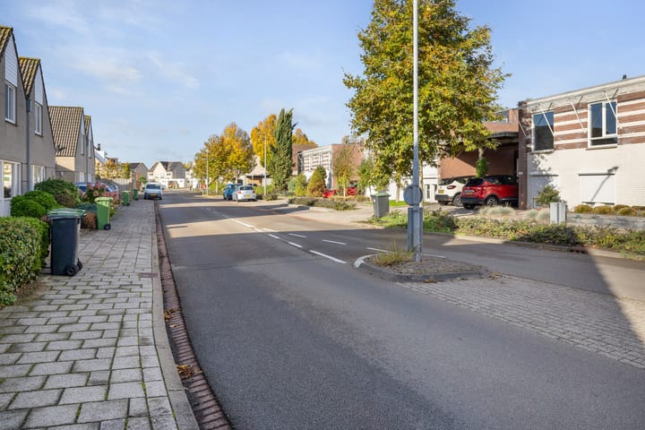 Foto 48 van Buizerd 25