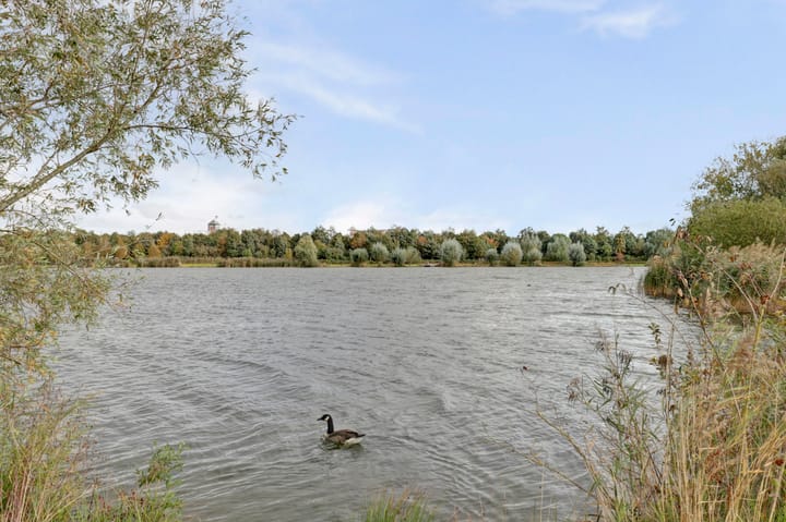 Foto 40 van Aagjesboomgaard 13