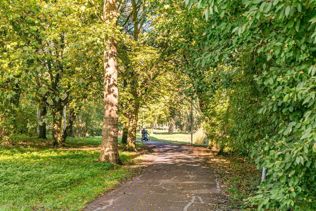 Foto 26 van Jacob Simonsz. de Rijkstraat 98