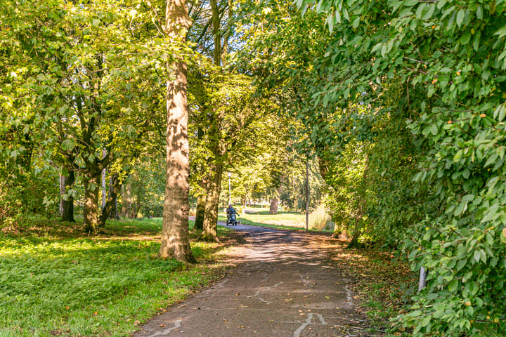 Foto 26 van Jacob Simonsz. de Rijkstraat 98